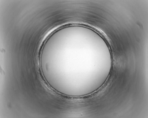 X0000091230887200708091111