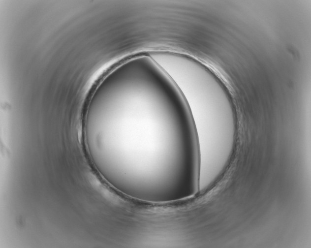 X0000091230888200708091111
