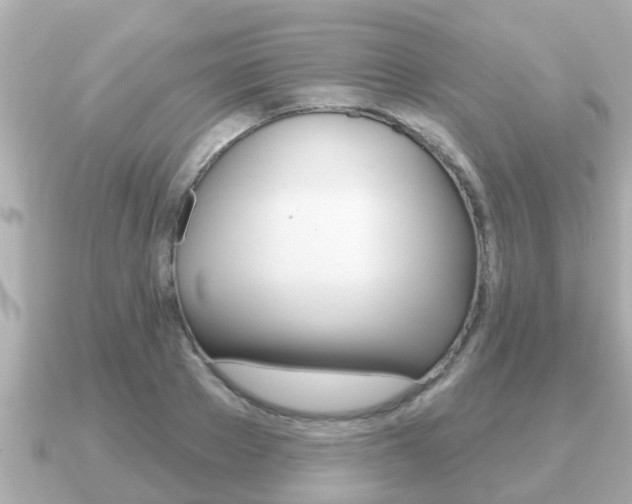 X0000091230889200708091111