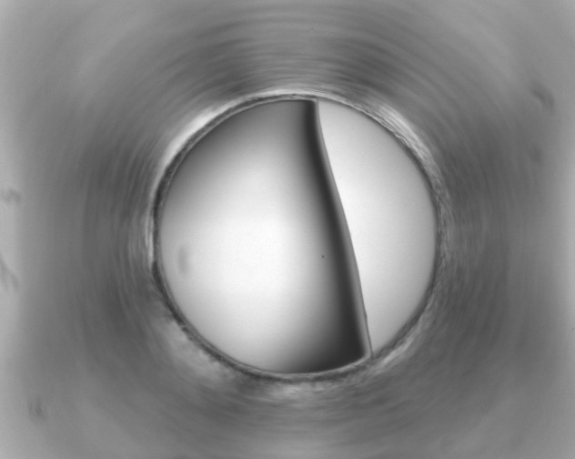 X0000091230892200708091111