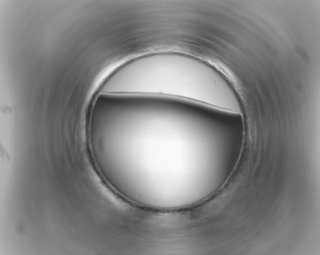 X0000091230894200708091111