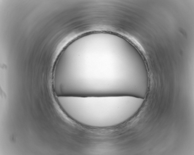 X0000091230895200708091111
