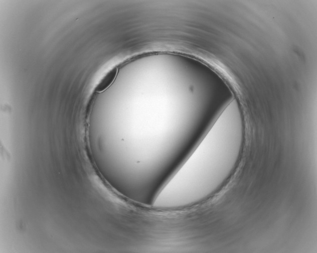 X0000091230896200708091111
