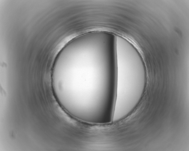 X0000091230898200708091111