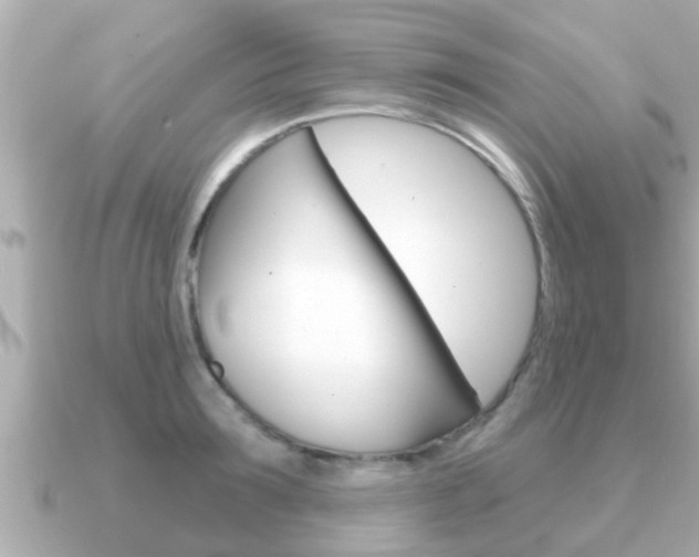 X0000091230899200708091111