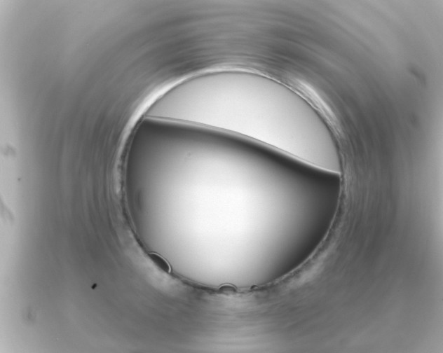 X0000091230900200708091111