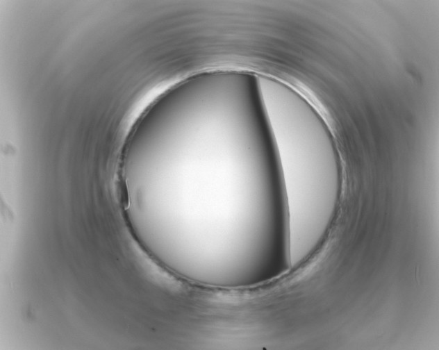 X0000091230901200708091111