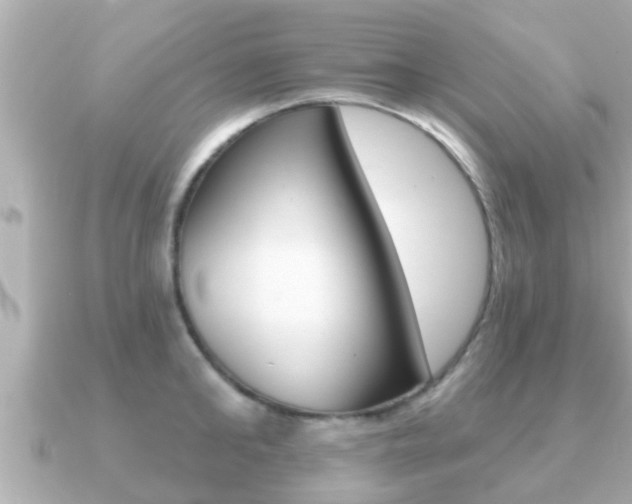 X0000091230902200708091111