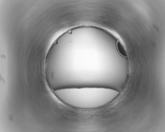 X0000091230903200708091111