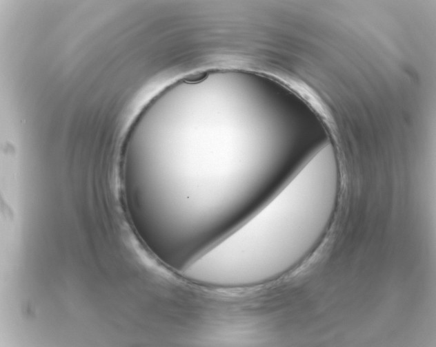 X0000091230904200708091111
