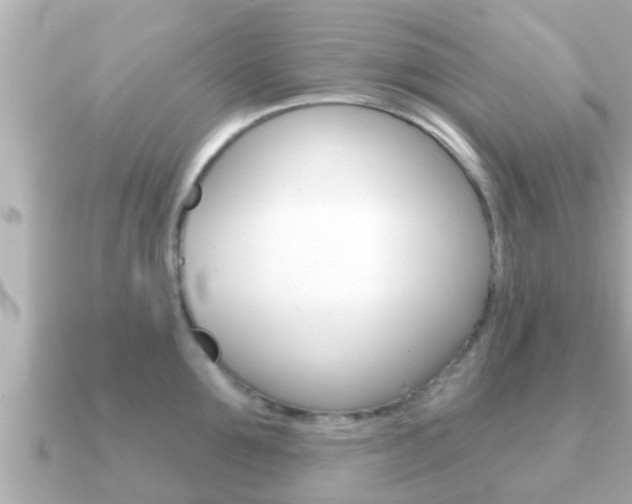 X0000091230907200708091111