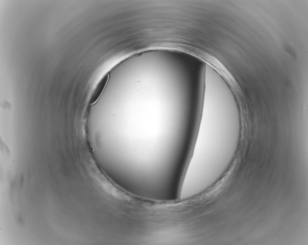 X0000091230908200708091111