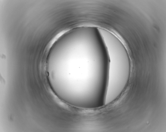 X0000091230909200708091111