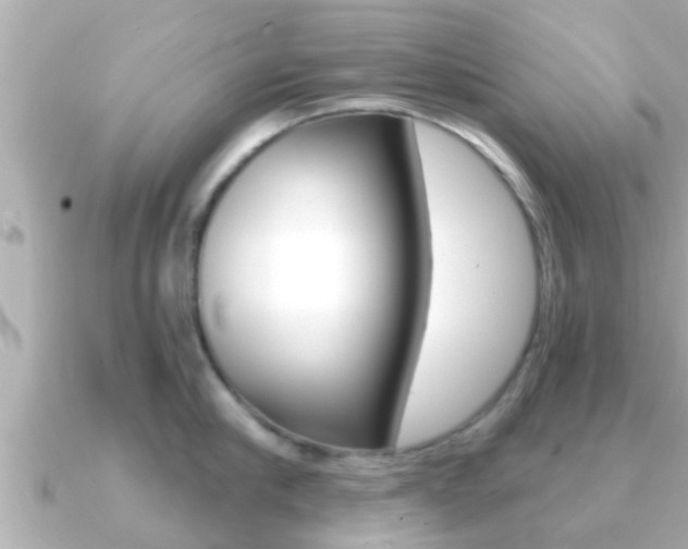 X0000091230910200708091111