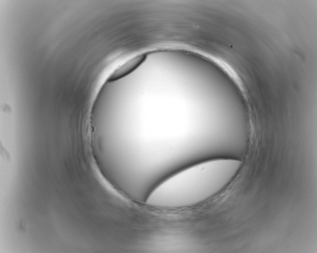X0000091230911200708091111