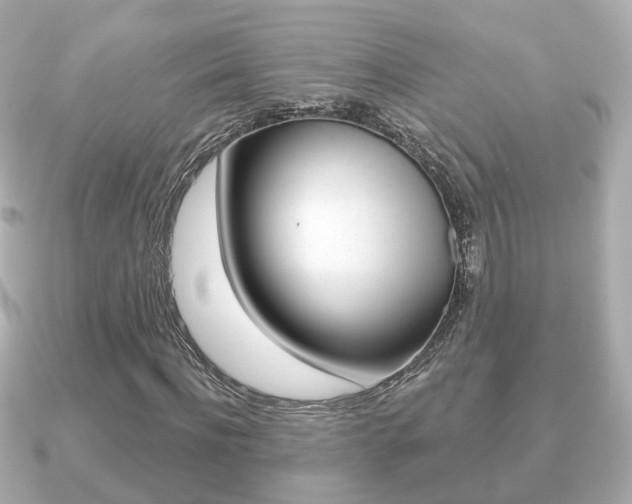X0000091230916200708091110