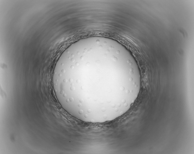 X0000091230917200708091110