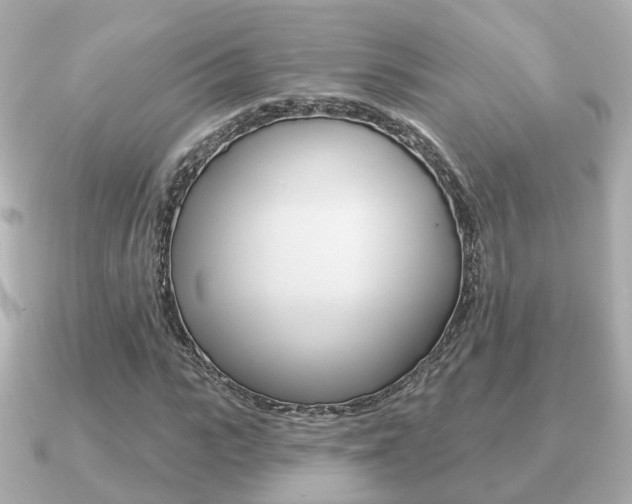 X0000091230919200708091110