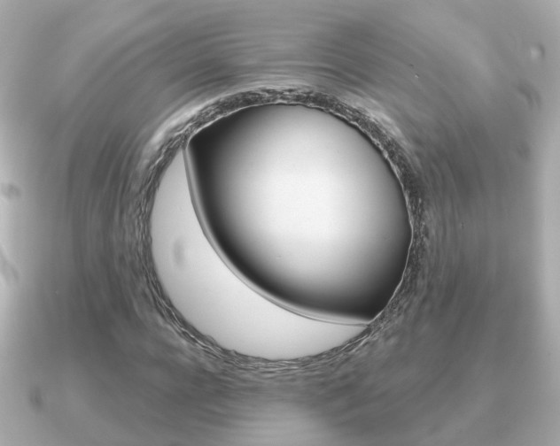 X0000091230920200708091110