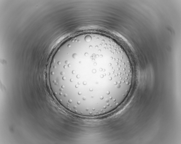 X0000091230921200708091111