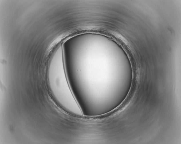 X0000091230922200708091111