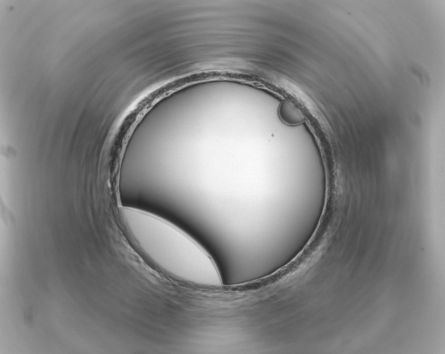 X0000091230923200708091111