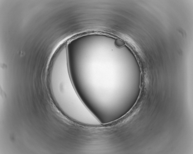 X0000091230924200708091111