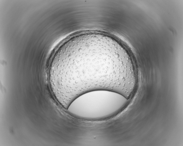 X0000091230925200708091111