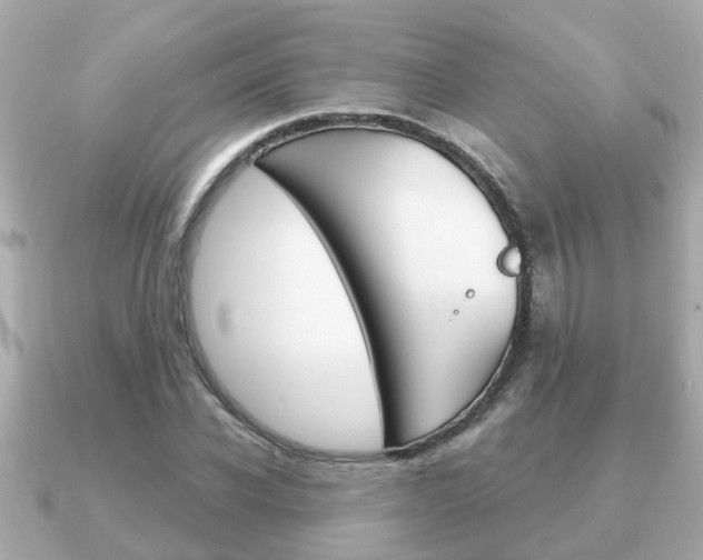 X0000091230926200708091111