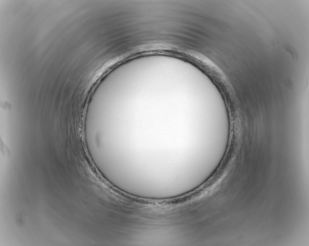 X0000091230929200708091111