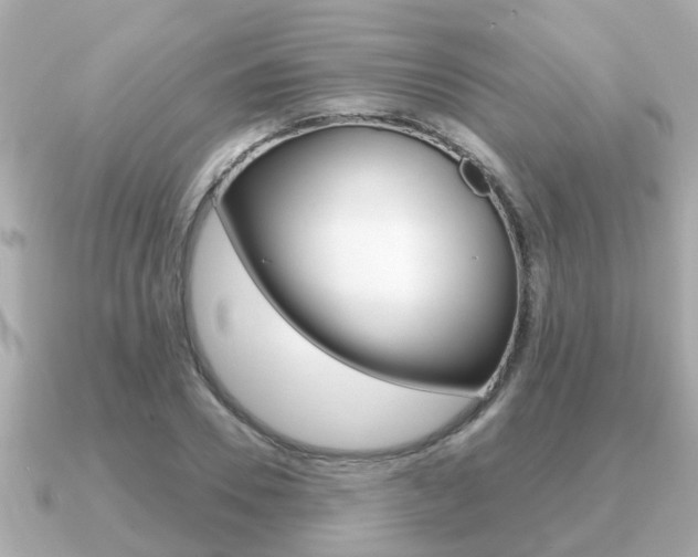 X0000091230930200708091111