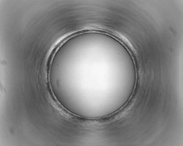 X0000091230931200708091111
