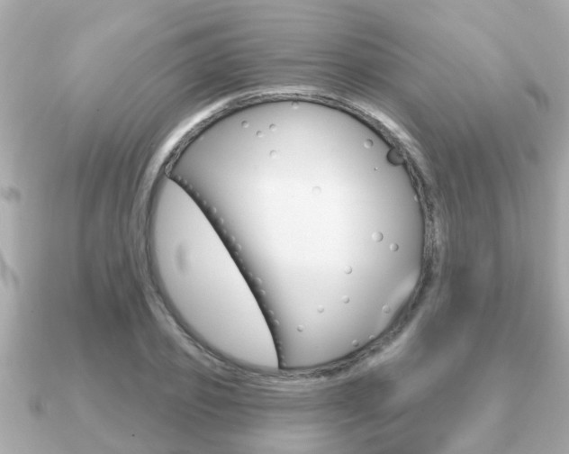 X0000091230933200708091111