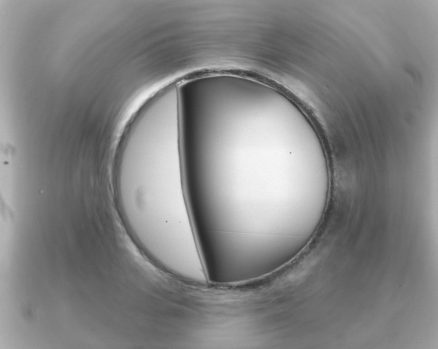 X0000091230935200708091111