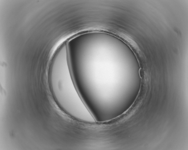 X0000091230936200708091111