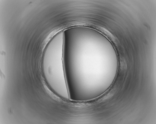 X0000091230938200708091111