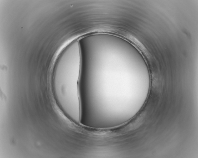X0000091230939200708091111