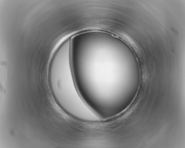 X0000091230940200708091111