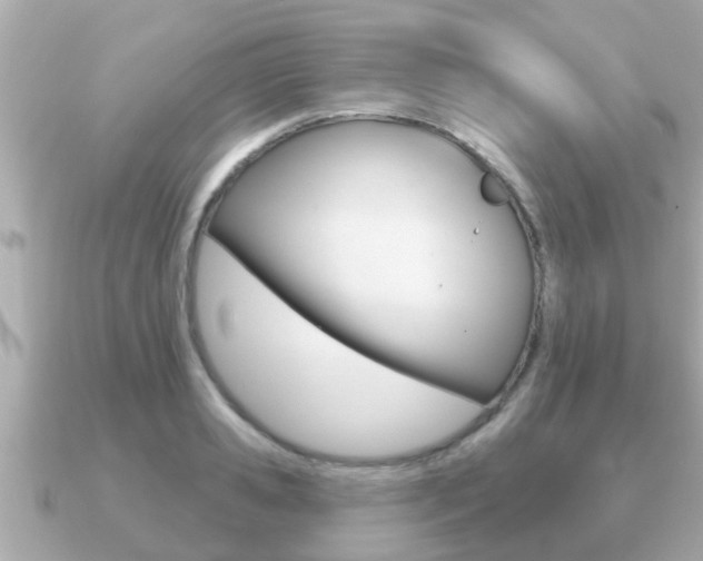X0000091230941200708091111