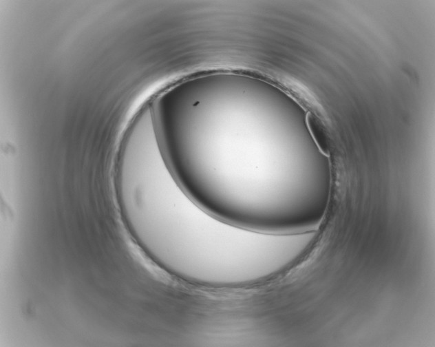 X0000091230942200708091111
