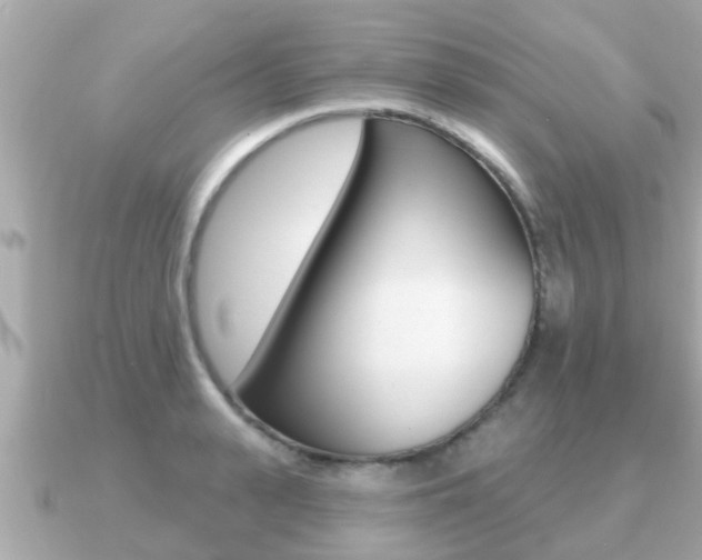 X0000091230943200708091111