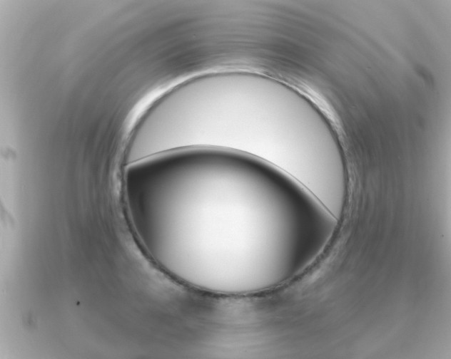 X0000091230944200708091111