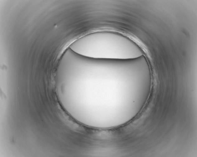 X0000091230945200708091111