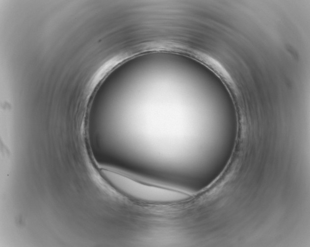X0000091230946200708091111