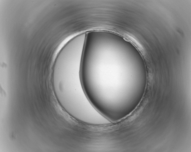 X0000091230948200708091111
