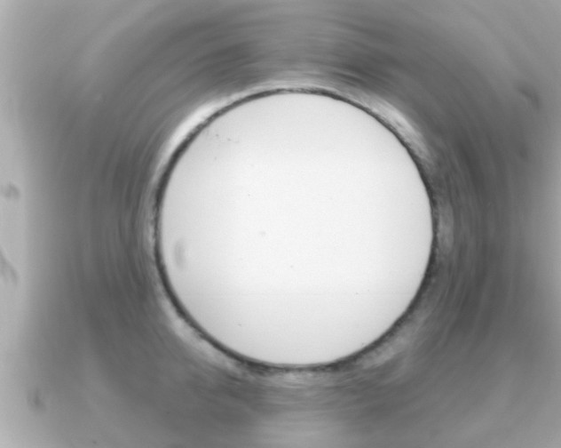 X0000091230950200708091111