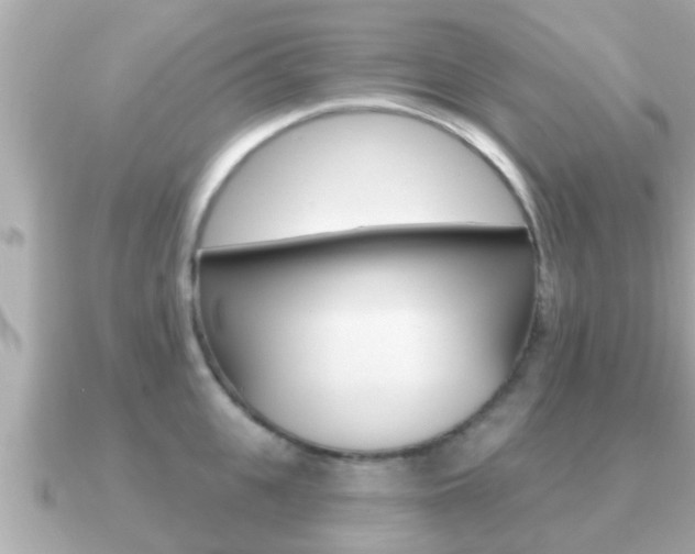 X0000091230951200708091111