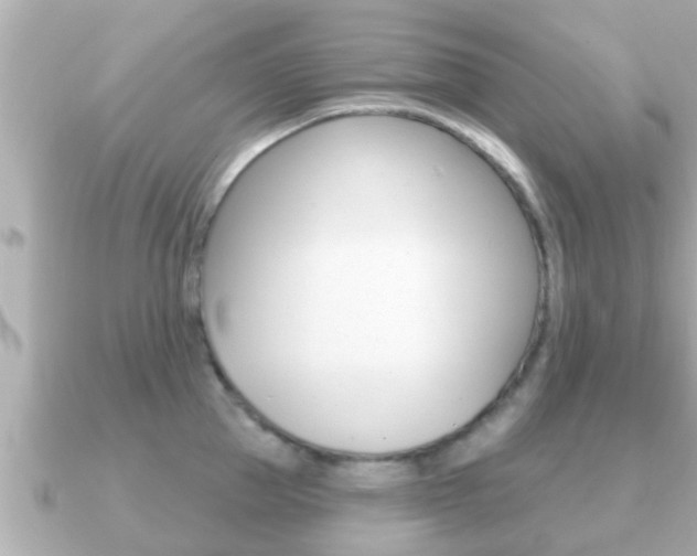 X0000091230953200708091111