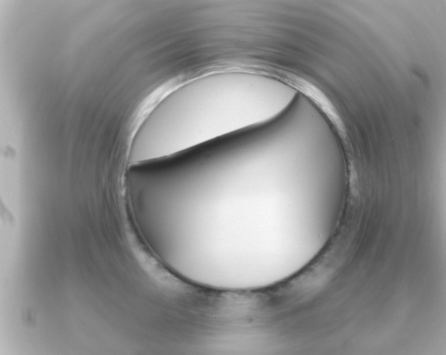 X0000091230954200708091111