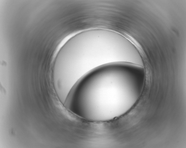 X0000091230956200708091111